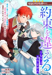 『約束を違えるつもりはありませんの表紙画像』